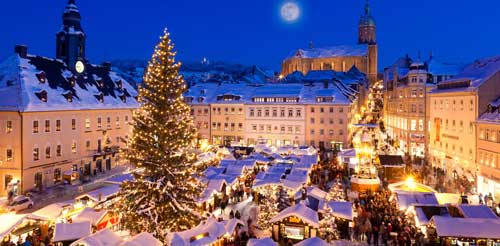 Quel sapin de noël privilégier ?